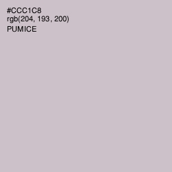 #CCC1C8 - Pumice Color Image