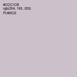 #CCC1CB - Pumice Color Image