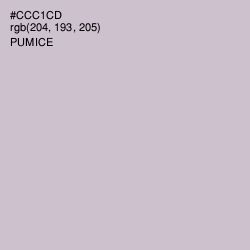 #CCC1CD - Pumice Color Image