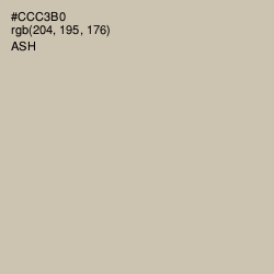 #CCC3B0 - Ash Color Image