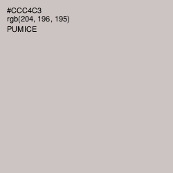 #CCC4C3 - Pumice Color Image