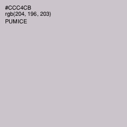 #CCC4CB - Pumice Color Image