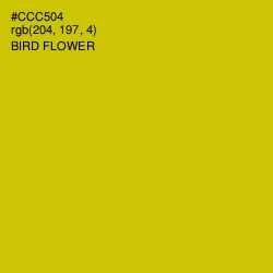 #CCC504 - Bird Flower Color Image