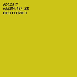 #CCC517 - Bird Flower Color Image