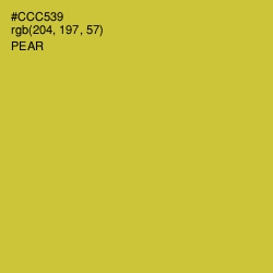 #CCC539 - Pear Color Image