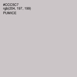 #CCC5C7 - Pumice Color Image
