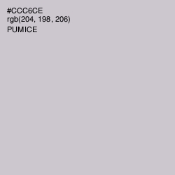 #CCC6CE - Pumice Color Image