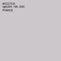 #CCC7CA - Pumice Color Image