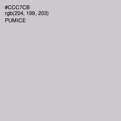 #CCC7CB - Pumice Color Image