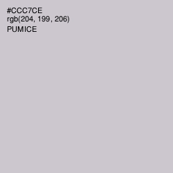 #CCC7CE - Pumice Color Image