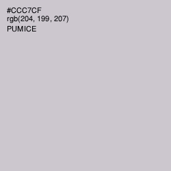 #CCC7CF - Pumice Color Image