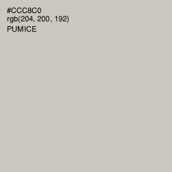 #CCC8C0 - Pumice Color Image