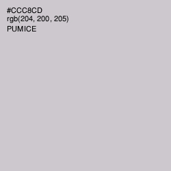 #CCC8CD - Pumice Color Image