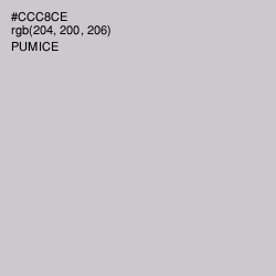 #CCC8CE - Pumice Color Image