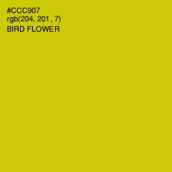 #CCC907 - Bird Flower Color Image