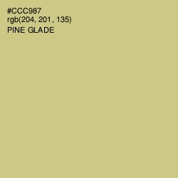 #CCC987 - Pine Glade Color Image