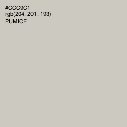 #CCC9C1 - Pumice Color Image