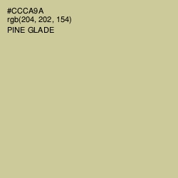 #CCCA9A - Pine Glade Color Image