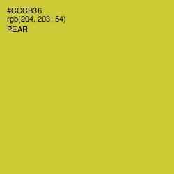 #CCCB36 - Pear Color Image