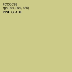 #CCCC88 - Pine Glade Color Image