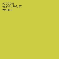 #CCCD43 - Wattle Color Image