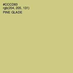 #CCCD83 - Pine Glade Color Image