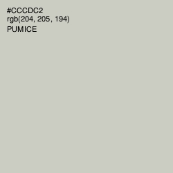 #CCCDC2 - Pumice Color Image