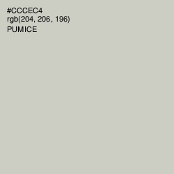 #CCCEC4 - Pumice Color Image