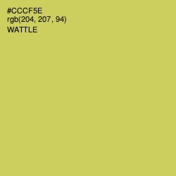 #CCCF5E - Wattle Color Image