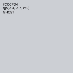 #CCCFD4 - Ghost Color Image