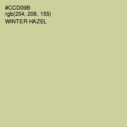 #CCD09B - Winter Hazel Color Image