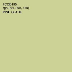 #CCD195 - Pine Glade Color Image