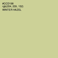 #CCD198 - Winter Hazel Color Image