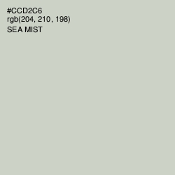 #CCD2C6 - Sea Mist Color Image
