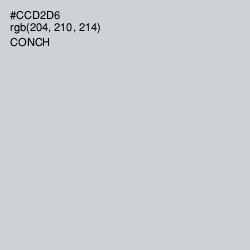 #CCD2D6 - Conch Color Image