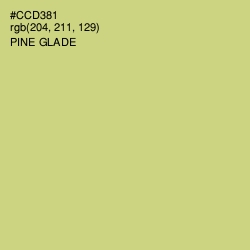 #CCD381 - Pine Glade Color Image