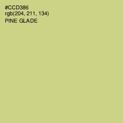 #CCD386 - Pine Glade Color Image