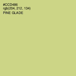 #CCD486 - Pine Glade Color Image
