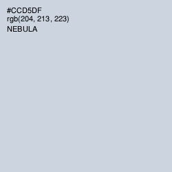 #CCD5DF - Nebula Color Image