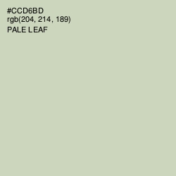 #CCD6BD - Pale Leaf Color Image