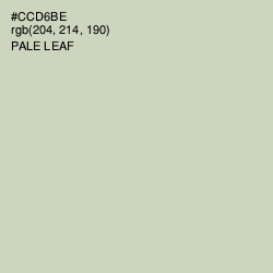 #CCD6BE - Pale Leaf Color Image