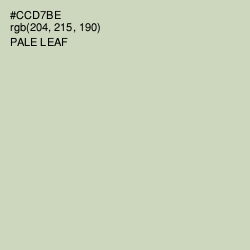 #CCD7BE - Pale Leaf Color Image
