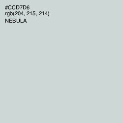 #CCD7D6 - Nebula Color Image