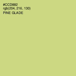 #CCD882 - Pine Glade Color Image
