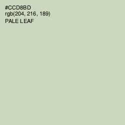 #CCD8BD - Pale Leaf Color Image