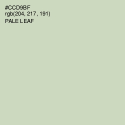 #CCD9BF - Pale Leaf Color Image