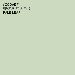 #CCDABF - Pale Leaf Color Image