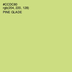 #CCDC80 - Pine Glade Color Image