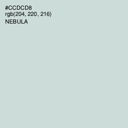 #CCDCD8 - Nebula Color Image