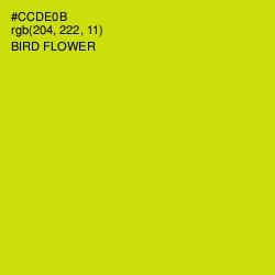 #CCDE0B - Bird Flower Color Image